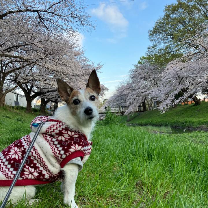 D9aab70d e1bf 4b98 bb2c 8598b7f49b27 1680045473300