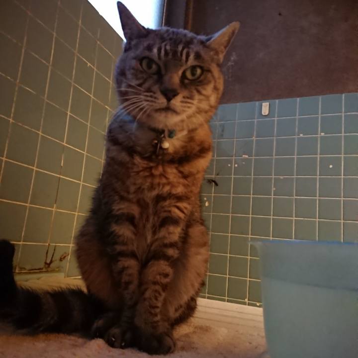 D9aafe31 6a22 4091 a191 ad90a6d3e788 1570956499102