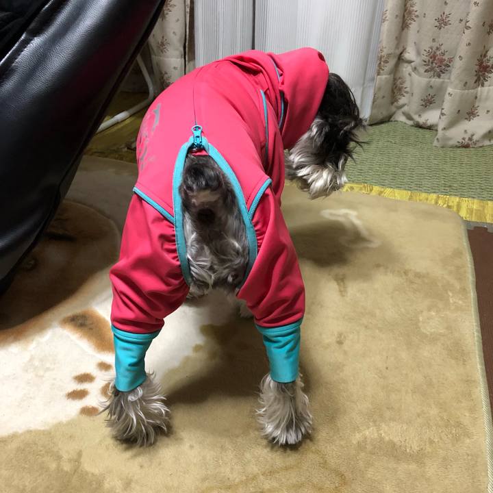 D9ab0355 4730 4b75 af7d a49186014b2b 1514714614362