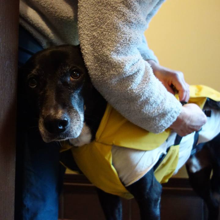 D9ab3e70 a13c 4b48 983d b0a404feb1d3 1738022569987