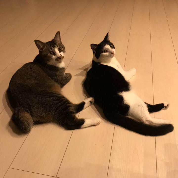 D9ab5d19 4ca7 4ce5 bc7c 72e466961492 1537616049650