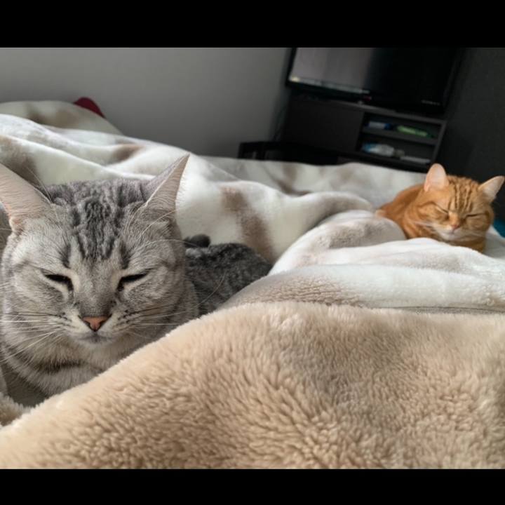 D9ab5fd1 26ba 4f26 ab97 3580a2767a99 1637623891831