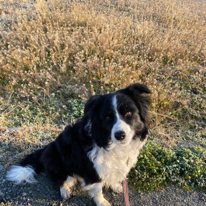 D9ab652b b885 4c28 af53 217d91d34707 1646868265726