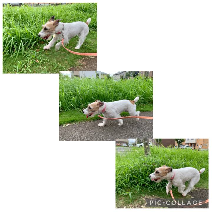 D9ab7128 a8e3 4165 a895 ef8a42c23017 1629521782409