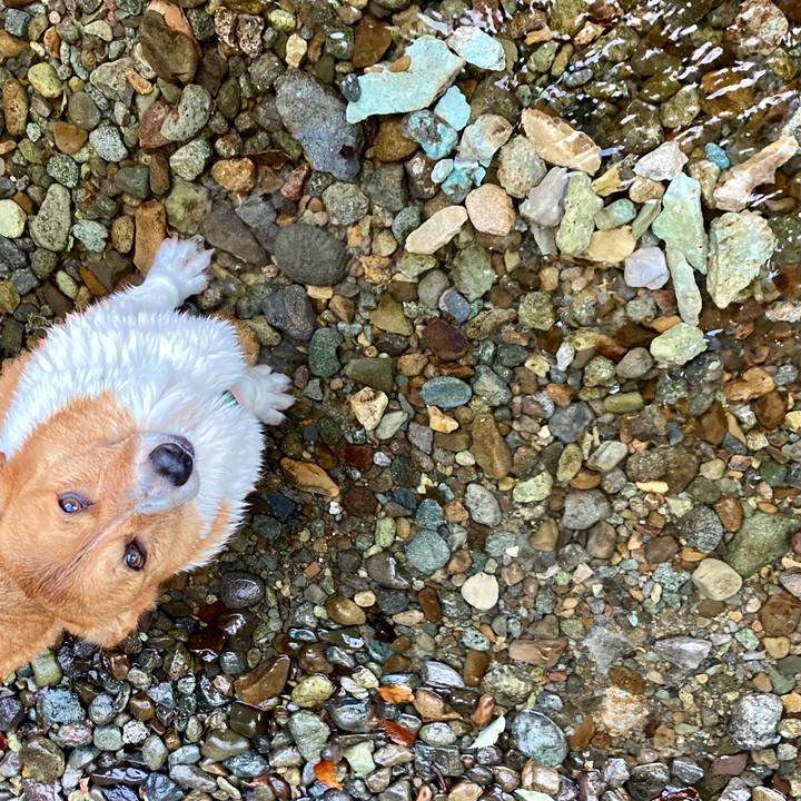 D9ab734b 5b93 43f5 ac25 3945549801fd 1723981636857