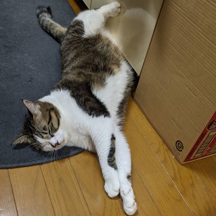 D9aba09c 8fee 4c28 94e2 b74113ba96e9 1669550305684