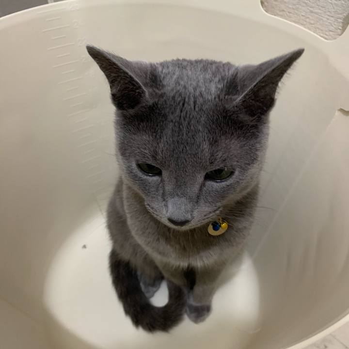 D9aba2a0 f3ad 47d0 a004 78cc6d5cc081 1619255571336