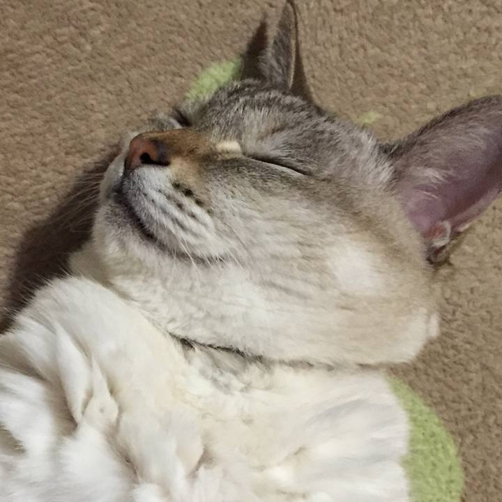 D9abbe32 1404 44b9 9401 d4f82d81229a 1543318166500