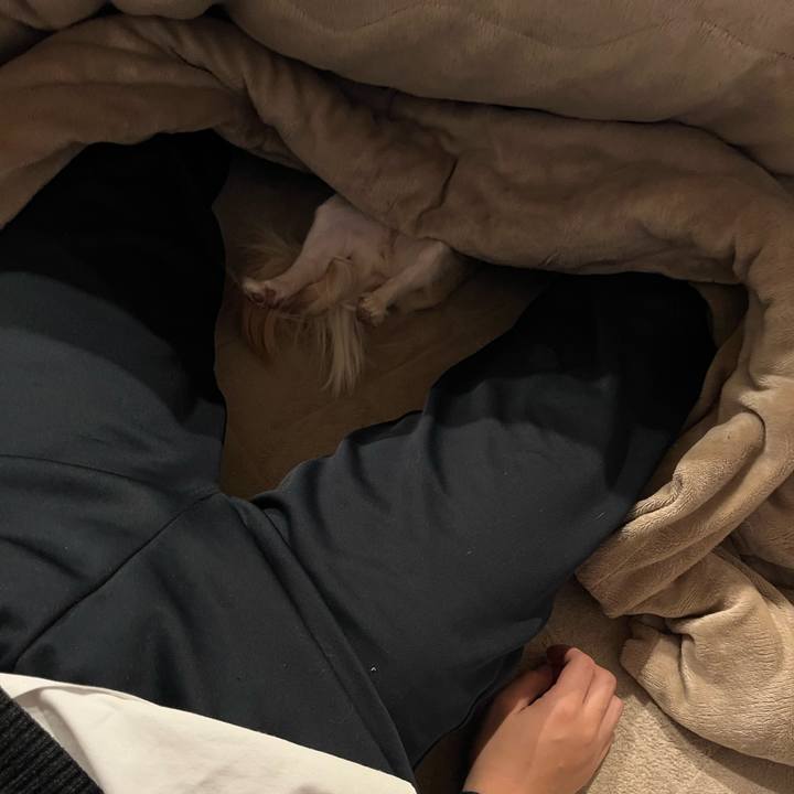 D9abc6df c331 477e 8e7c a50f24a2ad52 1767873839020