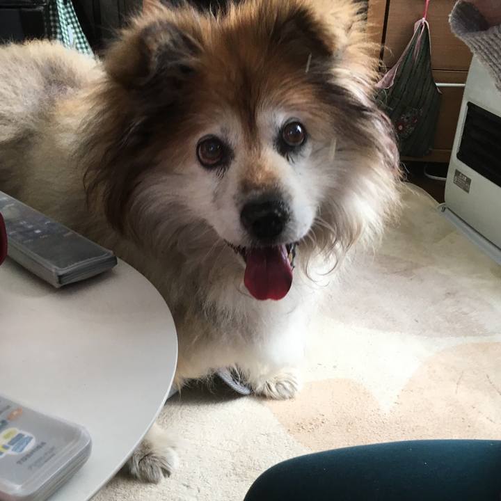 D9abe6c7 99d1 44c3 b0e2 b7d85cb72fcb 1593434832956