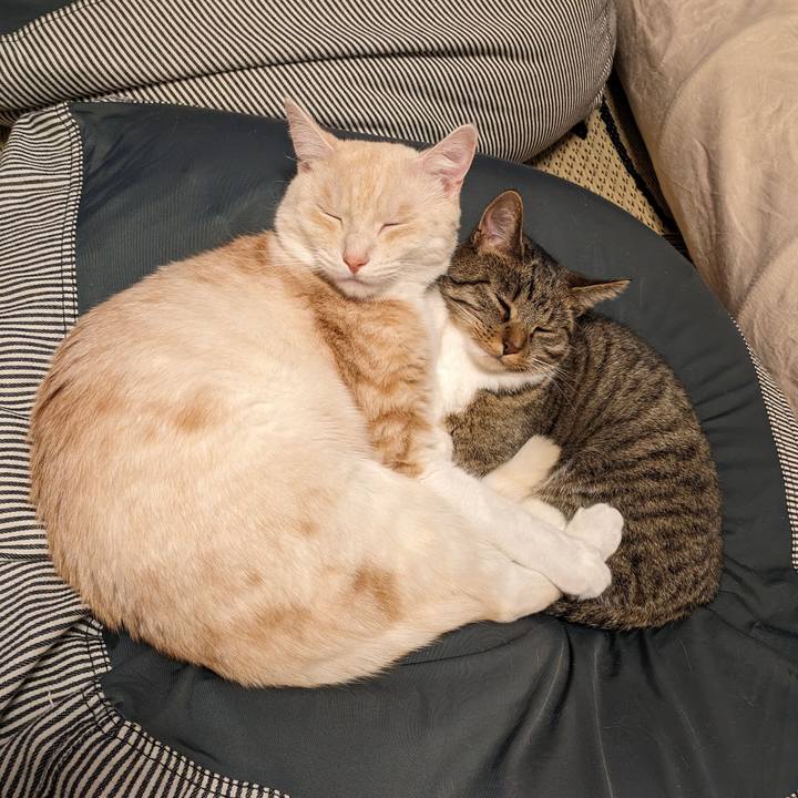 D9abff62 3431 4c33 b0c0 4aa28215d549 1691663939218