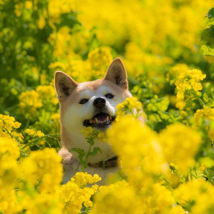 D9ac05c4 131d 45f5 8d3a 934c3fd1f27e 1551014129284