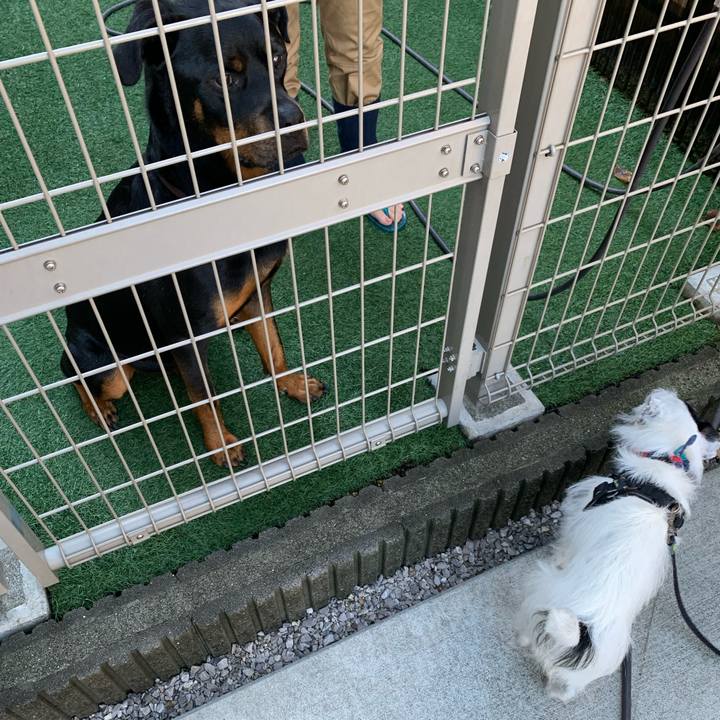 D9ac57a5 4a7d 40d3 9d06 68fdb704bb3d 1723848220294