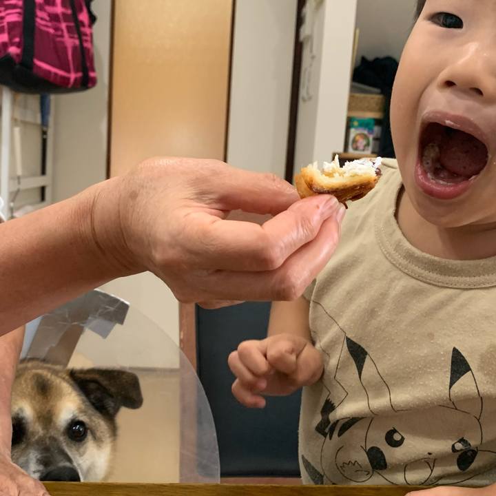 D9ac69b5 4f57 47fe 82fb 9f3c19bbe5b7 1627106898640