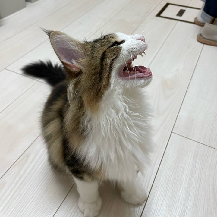 D9ac7ccc c0b7 44d5 bc95 6343916363eb 1637227142860