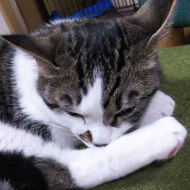 D9ac98c1 26cd 4b9b 8353 70287cb32baa 1618743587255