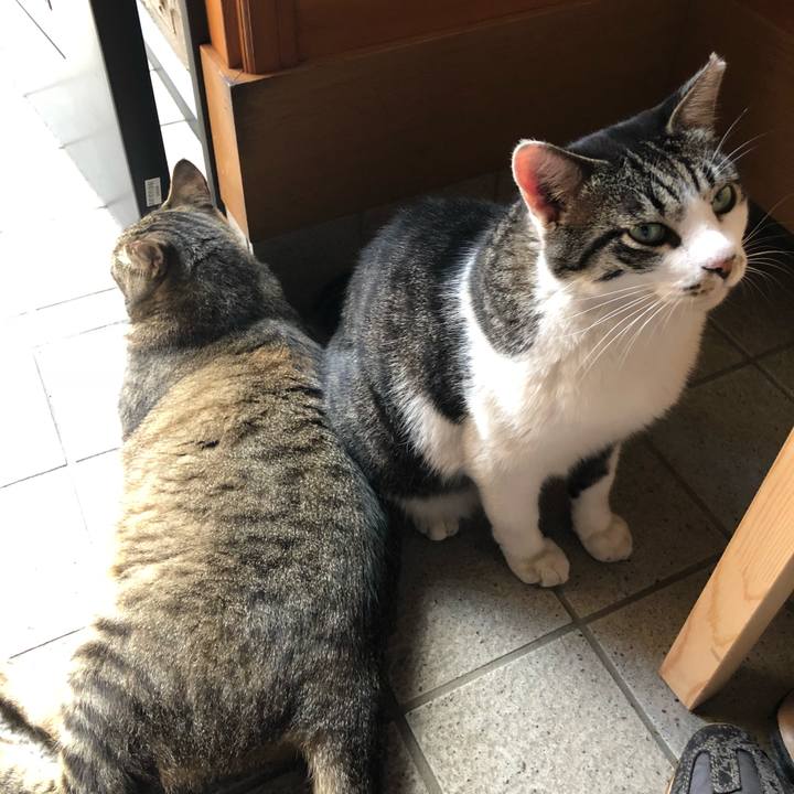 D9acc9ad dd57 4547 bf62 26b3480ae31b 1531135243429