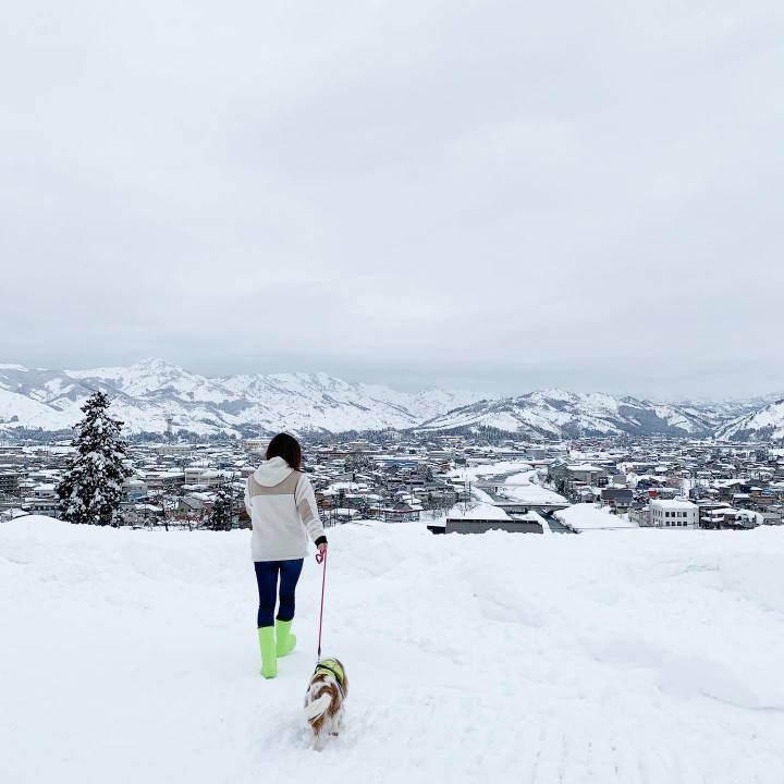 D9ad28d9 e077 438e b36a 589ba16768aa 1613734600469