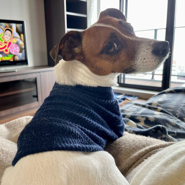 D9add723 fc3d 4c1d a350 28134c6a475b 1641980881442