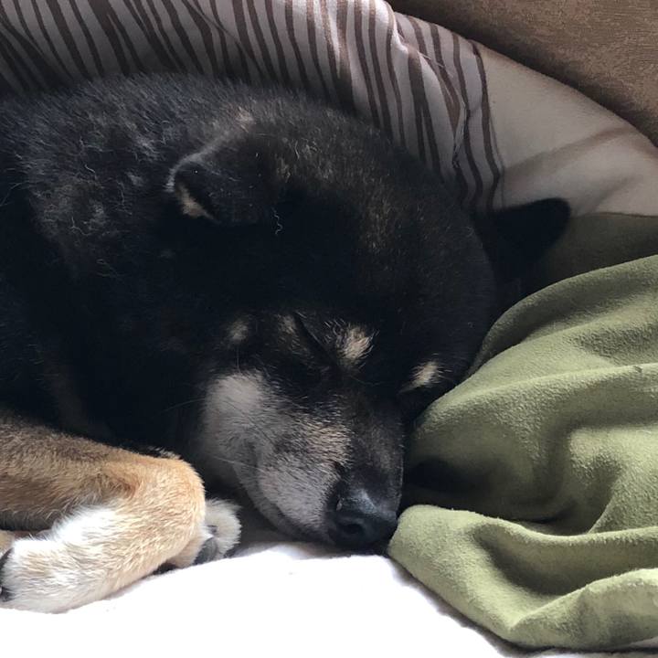 D9adf4c7 ccdc 448d b9e7 e4b0377b7b4c 1570442631244