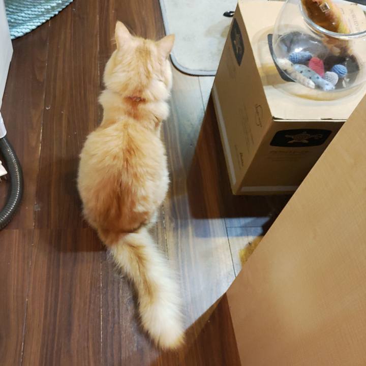 D9ae1bac bf1d 46b4 8aae 47335d2ace2f 1701382450371