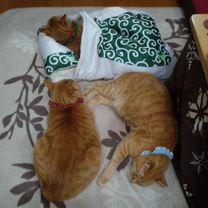 D9ae35e4 950d 4fc2 9d26 3b903d51c6a9 1642597683346