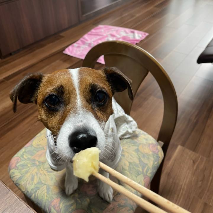 D9aeabe0 42c7 4d94 9038 ca96c421ae4f 1644274140413