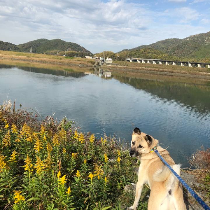 D9aec3ed 8875 4352 877e 48abcae17652 1573963774380