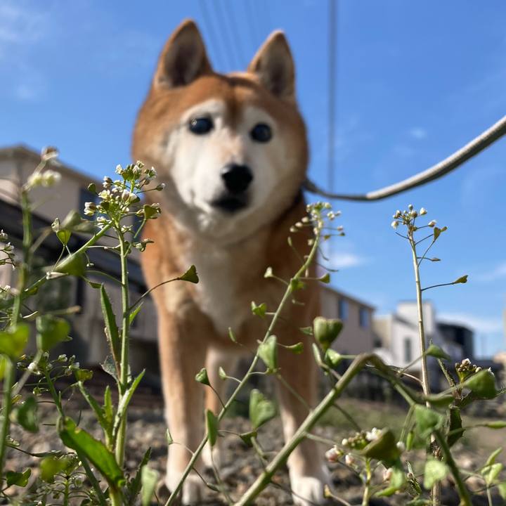 D9aedad6 0448 46b1 8169 cd00050f1abc 1741827774737