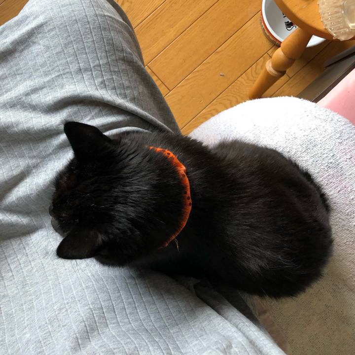 D9aee04e 3639 470e 9ba8 b7b79fa29a08 1570842789820