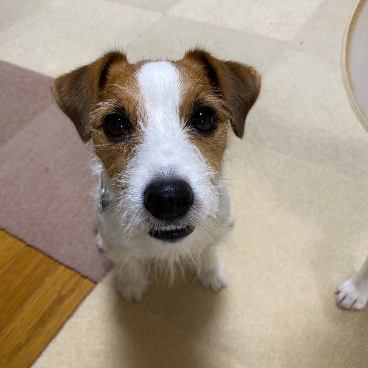 D9af1d3a da9f 4af7 9db3 6b821fc0cec1 1751464711521