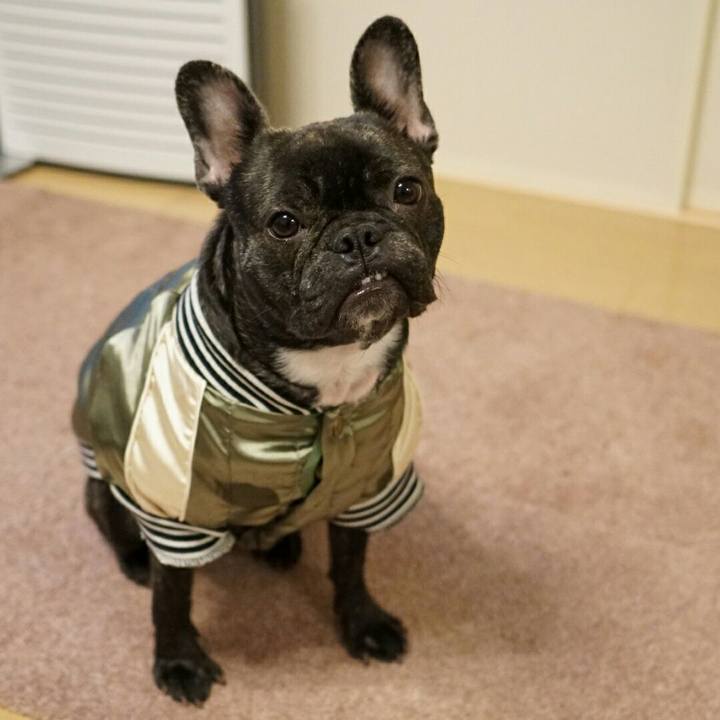 D9af2db4 6f0b 4aeb a660 6a2f9c46532e 1512209400602