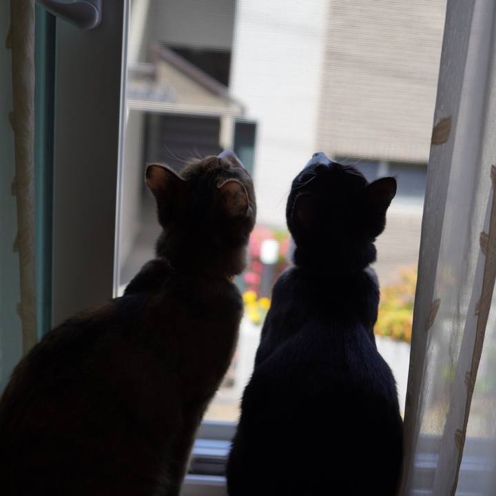 D9af5c76 6b3a 48ed 8756 4be2f6c79628 1590364284141