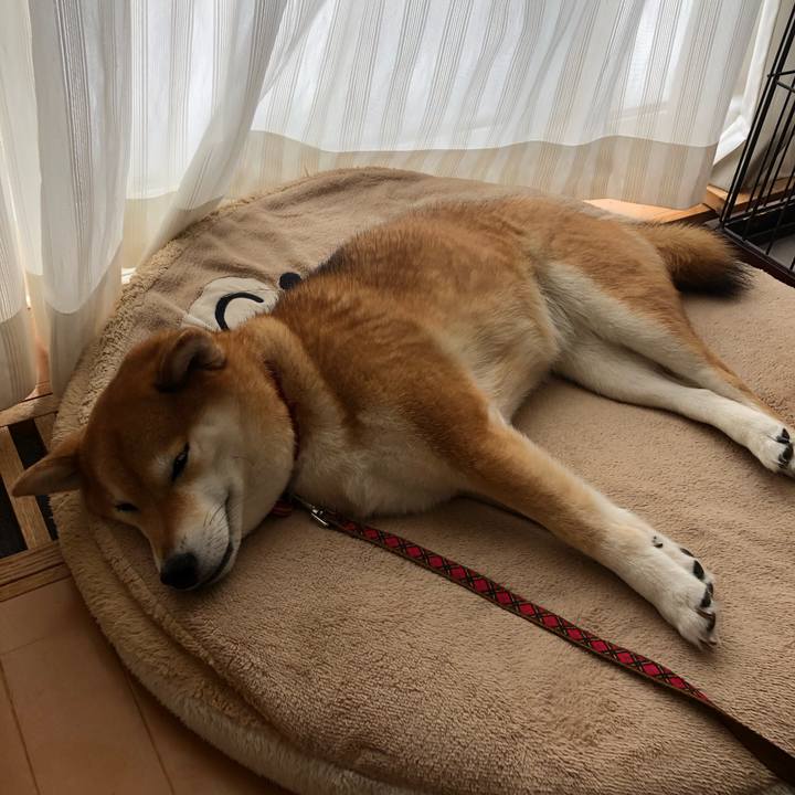 D9af72ec 248f 427c 9909 3afb80eb8e13 1582955682864