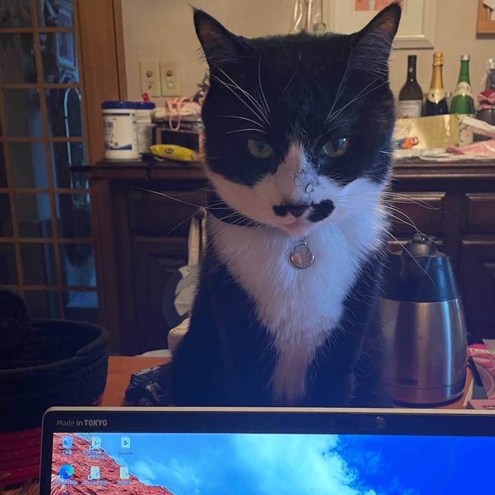 D9af7812 9d4e 4c8c 927f b3fbc7edf213 1748669924653