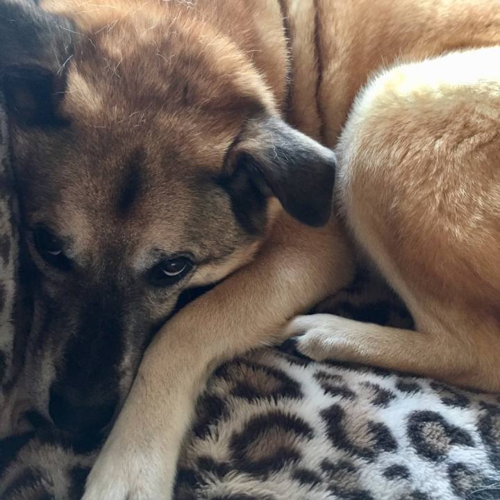 D9af79df fd88 42cd 9377 ec1984d61b7f 1539647263499