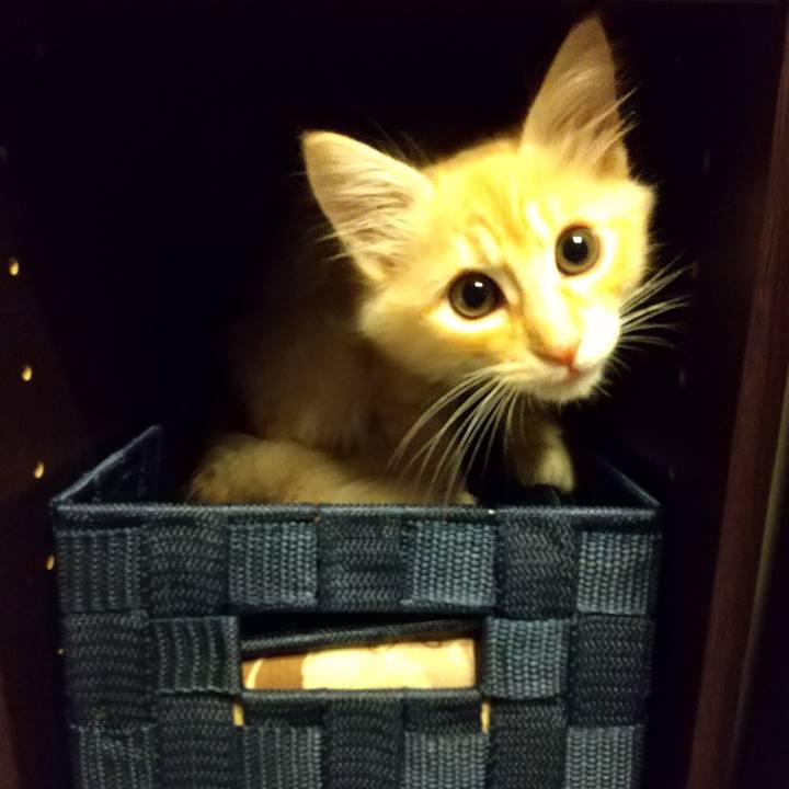 D9af7a71 5a7a 4717 8c43 6f63cb789d62 1605735768596