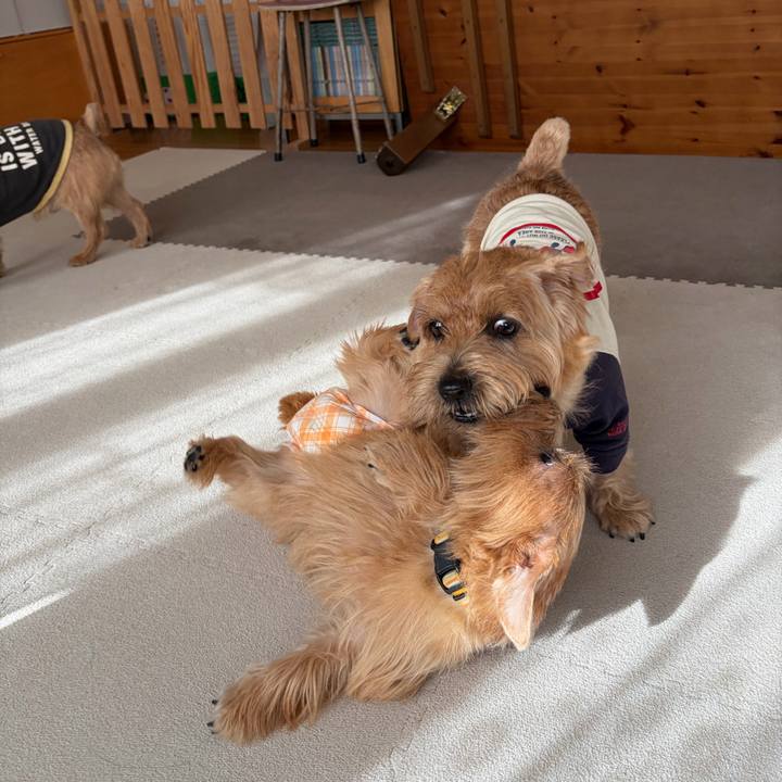 D9af7f10 b6c6 4448 b58c 11c41e6de391 1762355601056