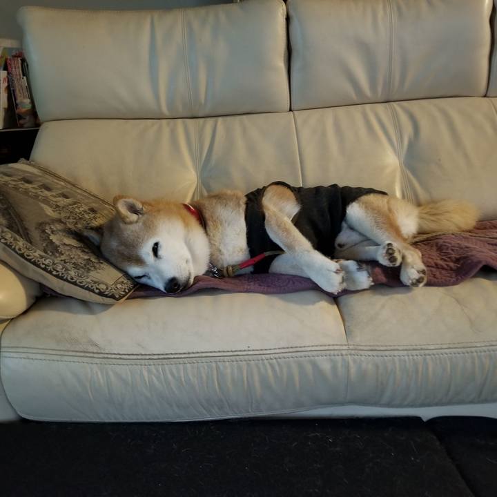 D9b00dd6 3788 4971 8c15 04c49cc59aa4 1730502754364