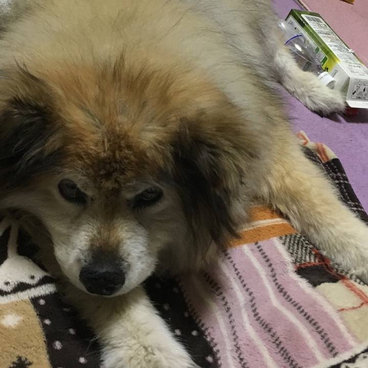 D9b01f0b 6914 44b3 8f80 37efa2ffa5eb 1613785660128