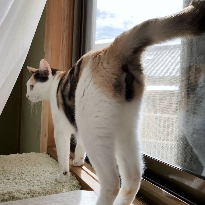 D9b04682 5d88 4373 a3dc 67429b14cb94 1535330231278