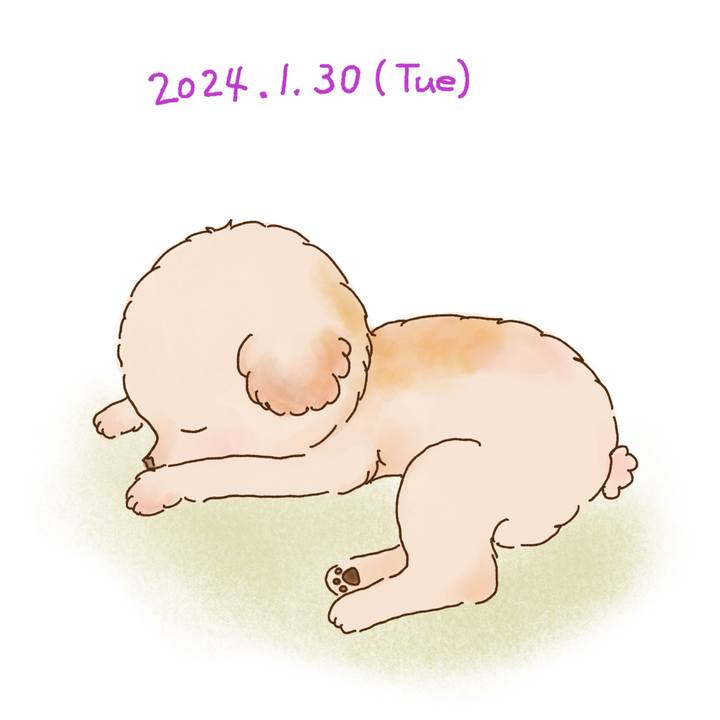 D9b07523 5c97 4977 965d ecd480edff64 1706616094904