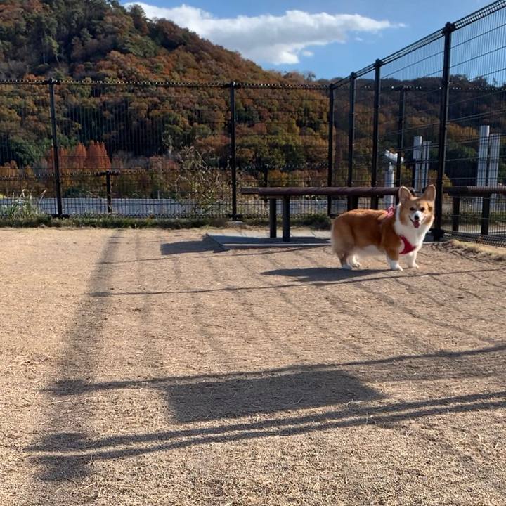 D9b0c2f5 bf78 448a bc44 f7bdc7069bdd 1701319335289