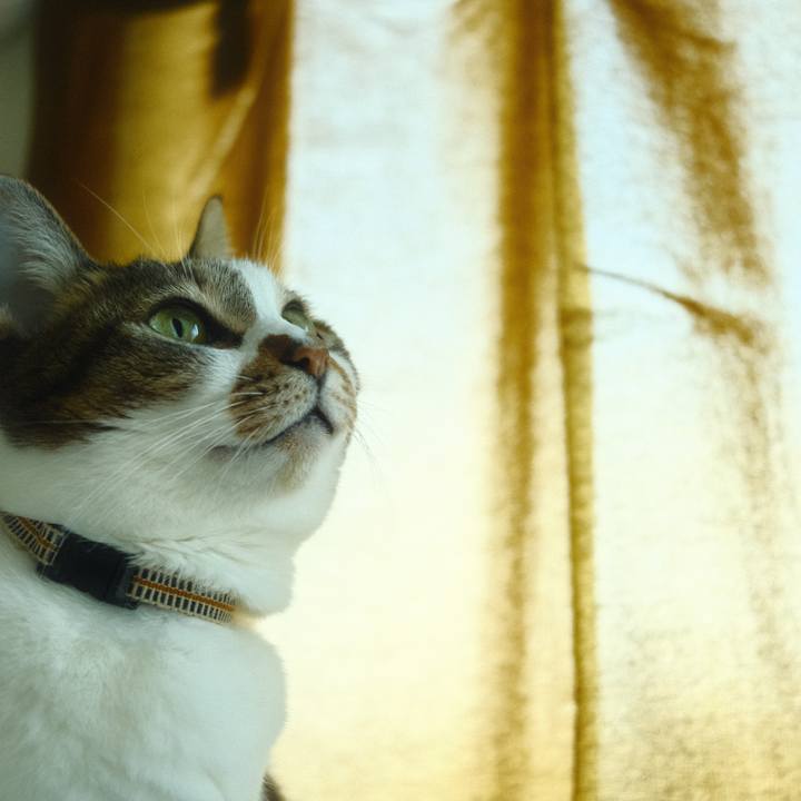 D9b0d1bf 0087 40c0 b136 073072018c61 1674695404217