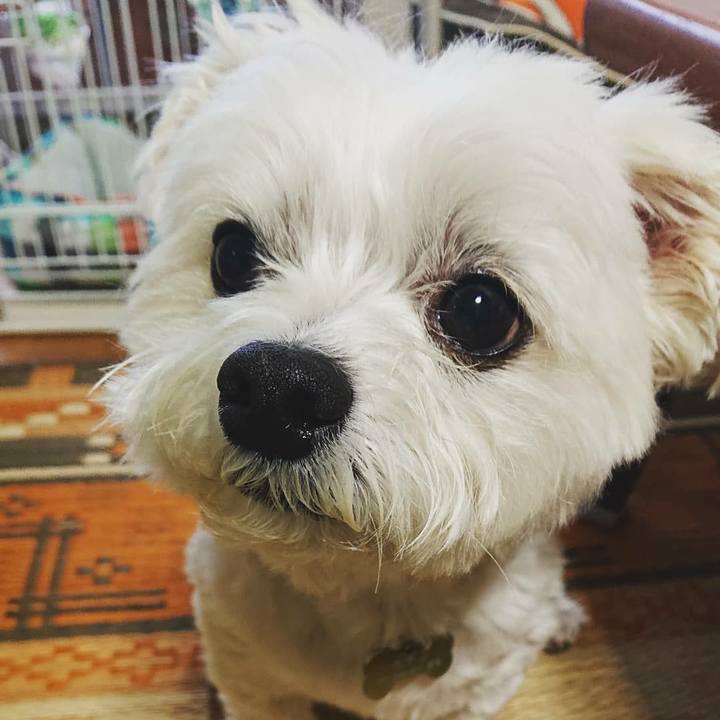 D9b0d324 5583 468f 8093 69746e406698 1559290507069