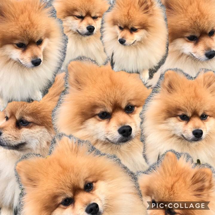 D9b10c42 a44a 48a5 b7ed 128f1354441c 1508892843886