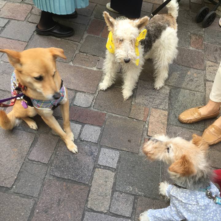 D9b13966 52d4 474a 938a 1067566dfefd 1555773915069