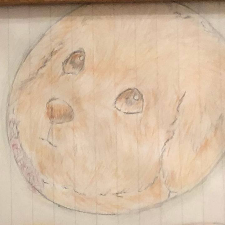 D9b1c169 fe98 4b8d 8c84 ed0a5ac11dd9 1619530508888