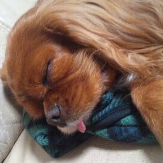 D9b1fd9a 5936 4653 985a 8ddb975671ad 1521809145235