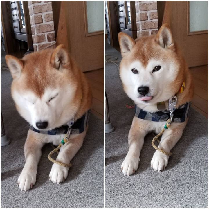 D9b21ec9 37cc 408b a2ea 9a1d8ca74c48 1672025905667